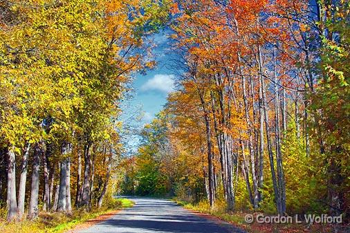 Autumn Backroad_22962-3.jpg - Photographed at Rideau Lakes, Ontario, Canada.